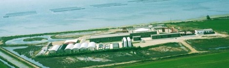 El centre de Sant Carles de la Ràpita de l'IRTA amplia la seva connexió a l'Anella Científica