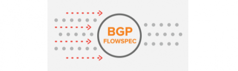 Activació de Flowspec al troncal de l'Anella Científica
