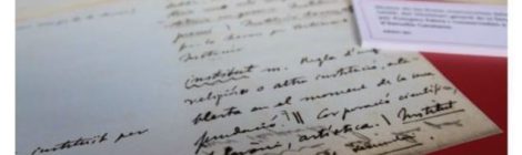 Les Biblioteques del CCUC: Servei de Documentació i Arxiu de l’Institut d’Estudis Catalans