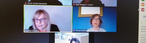 El GEPA participa al Seminari Experiències'20 organitzat pel COBDC